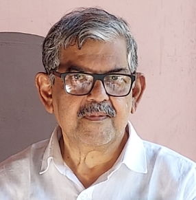  People Need To Opt For Alternative Energy: Goa Minister-TeluguStop.com