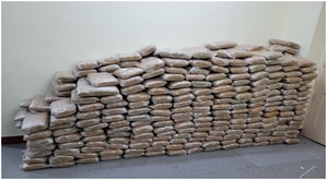 Tamil Nadu: Hashish valued at Rs 110 crore seized from Pudukkottai godown Tamil Nadu: Hashish valued at Rs 110 crore seized from Pudukkottai godown