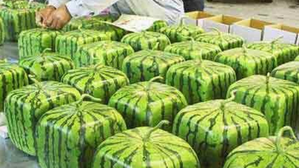 Now get square shaped water melons this summer