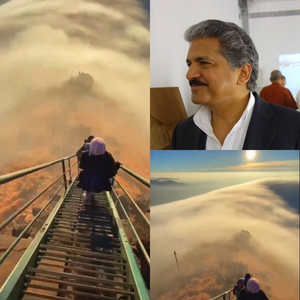We need time in life to stop & smell the roses: Anand Mahindra We need time in life to stop & smell the roses: Anand Mahindra