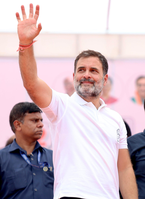 Rahul Gandhi gets bail in defamation case