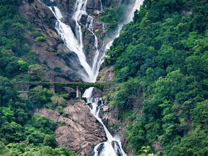 Jeep ride to Dudhsagar waterfall in Goa barred from June 1 Jeep ride to Dudhsagar waterfall in Goa barred from June 1