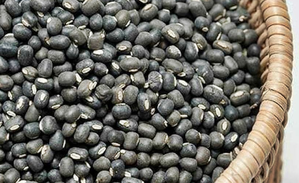 Urad prices dip on higher govt procurement, sown area shoots up amid better monsoon Urad prices dip on higher govt procurement, sown area shoots up amid better monsoon