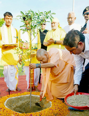 सेवा पर्व : देश में लगाए जाएंगे 1.25 करोड़ पौधे, यूपी को मिला 15 लाख पौधरोपण का लक्ष्य