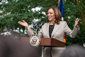 Democrats' challenge is to quickly translate Kamala Harris's unshakeable support into nomination (Lead)