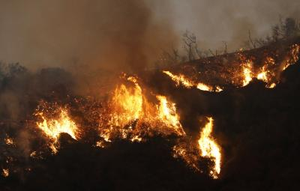 Raging US wildfire causes evacuations, health alerts Raging US wildfire causes evacuations, health alerts
