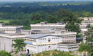 Assam University teachers protest against election duties Assam University teachers protest against election duties