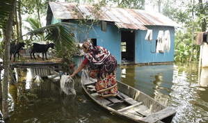 August floods cause 0 million damage to Bangladesh's agriculture August floods cause 0 million damage to Bangladesh's agriculture