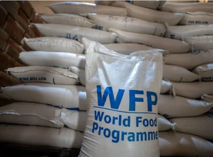 WFP launches emergency food operation for conflict-affected people in Lebanon