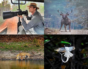 Randeep Hooda’s clicks on World Wildlife Day capture the raw beauty of the wilderness