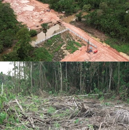 Brazil faces backlash over Amazon deforestation for climate change summit