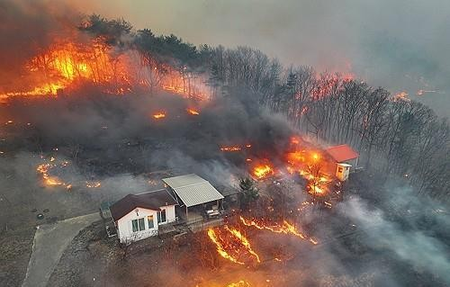 South Korean Police to summon suspect in worst-ever wildfires for questioning