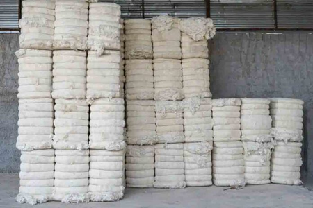 Centre pays Rs 37,450 crore to farmers for cotton procured at MSP