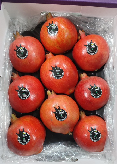 Sea shipment of Indian pomegranates to US opens new avenues for farmers: Piyush Goyal