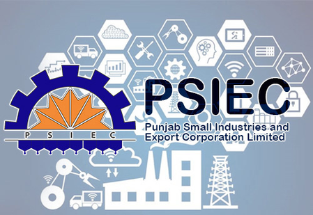 Punjab constitutes appellate authority for cancelled industrial plots