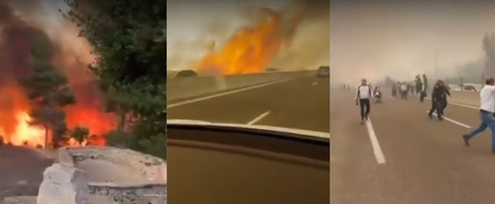 Wildfire rages across Israel, sparks national emergency as thousands flee Wildfire rages across Israel, sparks national emergency as thousands flee