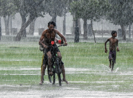 Unseasonal rains lash Gujarat, crops damaged in many areas