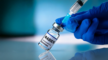KGMOA calls for pre-exposure rabies vaccination programme in Kerala