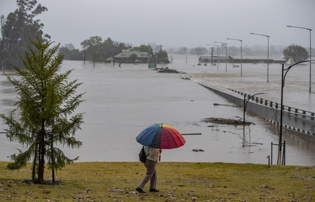 Death toll from tropical disease outbreak in northern Australia rises to 31 Death toll from tropical disease outbreak in northern Australia rises to 31