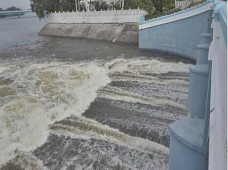 TN Water Resources Department seeks funds to clear vegetation in Cauvery river