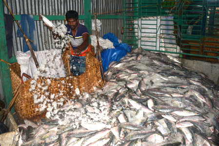India's seafood exports surge despite global uncertainties