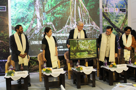 Meghalaya govt pushes for UNESCO focus on living root bridges