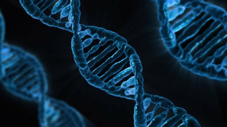 TN to open genetic disorder centres in Coimbatore, Madurai