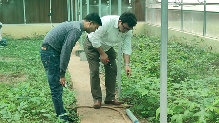 HADP boosts horticulture in J&K’s Poonch, doubling farmers’ income