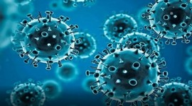 Airborne fungal spores may help predict Covid, flu surge: Study