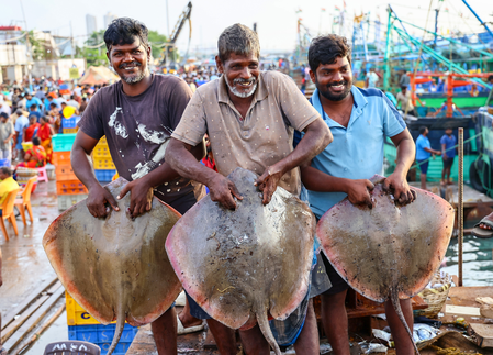 Fish production surges 104 pc, infra projects rise towards Blue Economy Fish production surges 104 pc, infra projects rise towards Blue Economy
