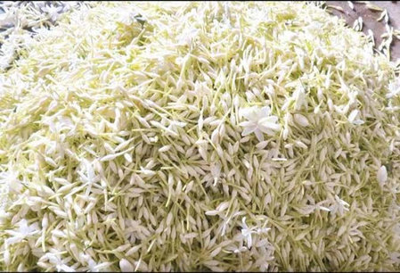 TN moves to secure GI tags for five indigenous farm products TN moves to secure GI tags for five indigenous farm products