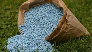 Govt sets ball rolling for green ammonia-based fertilisers to reduce carbon footprint Govt sets ball rolling for green ammonia-based fertilisers to reduce carbon footprint