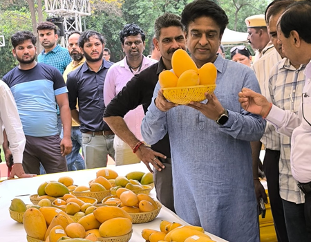 Delhi: NDMC’s two-day ‘Mango Festival’ enthrals diplomats, fruit lovers