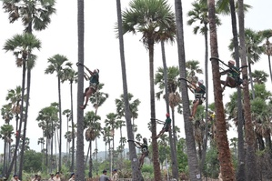 Number of people affected by adulterated toddy in Hyderabad rises to 37 Number of people affected by adulterated toddy in Hyderabad rises to 37