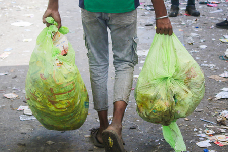 Taj city’s green push turns landfill into Miyawaki forest Taj city’s green push turns landfill into Miyawaki forest