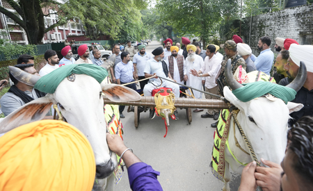 Punjab Assembly passes Bill to allow bullock cart races in Kila Raipur rural games