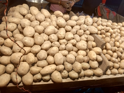 Gujarat emerges as leader in production of processed potatoes Gujarat emerges as leader in production of processed potatoes