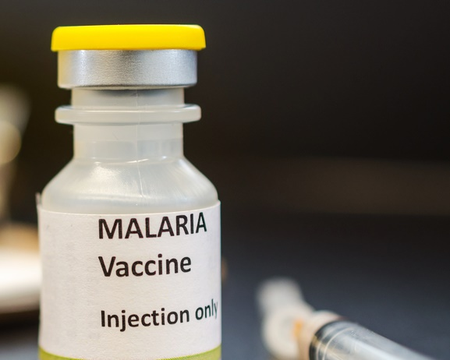 India developing indigenous multi-stage Malaria vaccine 'AdFalciVax' India developing indigenous multi-stage Malaria vaccine 'AdFalciVax'