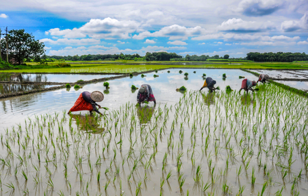 US agri, dairy firms with financial muscles aim to control global markets, India stands firm
