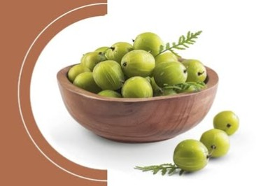 सर्दी, गर्मी और बरसात, हर मौसम में ‘रसायनों का राजा’ खास