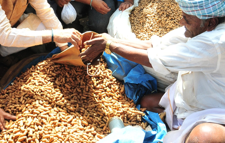 K’taka: Urea, fertiliser prices rise after surge in demand, farming community in distress