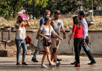 Migration an essential driver of growth, innovation globally: Report 