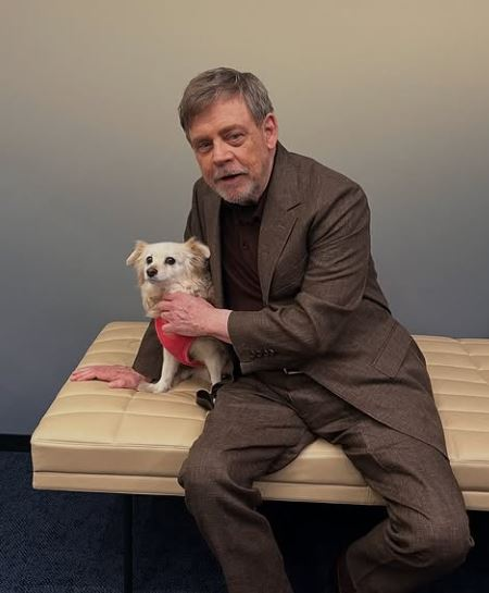 Mark Hamill wished to retire from acting, felt uninspired