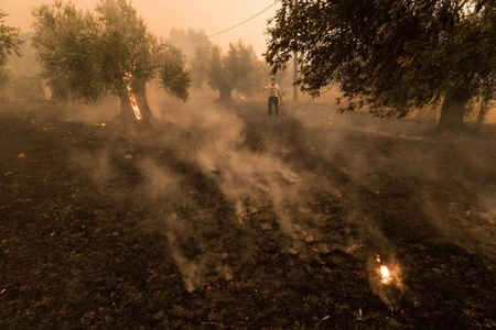 Greece requests EU assistance as wildfires rage across country Greece requests EU assistance as wildfires rage across country