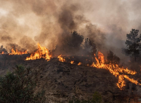 Firefighter dies as forest fire rages in Turkey Firefighter dies as forest fire rages in Turkey