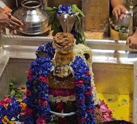 नाग पंचमी की विशेष पूजा से मिलेगी संकटों से मुक्ति, मिटेगा दोष नाग पंचमी की विशेष पूजा से मिलेगी संकटों से मुक्ति, मिटेगा दोष