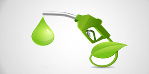 Supply of ethanol-blended petrol jumps more than 4-fold in four years