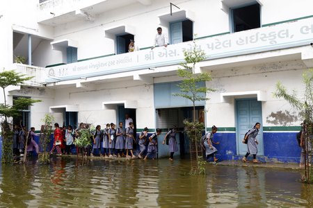 Gujarat sees monsoon revival, 217 talukas receive rainfall in 24 hours
