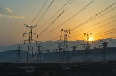 India’s power demand to rise 4 pc in 2025, renewable energy output surges: IEA