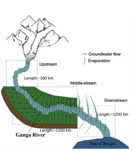 Groundwater dominates Ganga’s flow in plains, not glacier melt: IIT Roorkee study